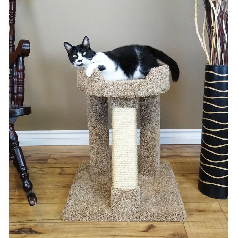 New Cat Condos 24 Premier Elevated Cat Perch And Reviews Wayfair